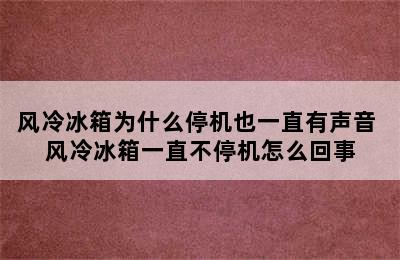 风冷冰箱为什么停机也一直有声音 风冷冰箱一直不停机怎么回事